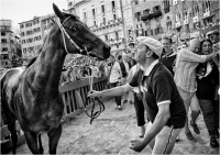 B01 - Mammini Massimiliano "Palio di Siena 927"