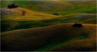 17 - Bernini Giuseppe "Toscana attimo di luce 01"