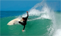 20 - Cerrai Roberto "Surf 1"