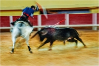15 - Garuti Fabio "Final moments"