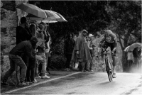 07  -Bernini Giuseppe "Giro 2016 13"