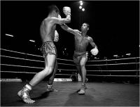 17 - Bani Angelo "Real fighters 06"