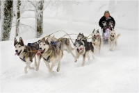 19 - Garuti Fabio "Sleddog"