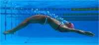 17 - Giuntoli Andrea "Nuoto n. 6"