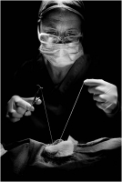 01 - Bani Angelo "Clinica veterinaria 4"