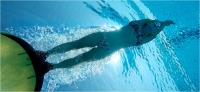 06 - Giuntoli Andrea " Finswimming 5"