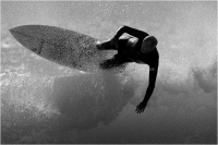 11 - Cerrai Roberto "Surf"