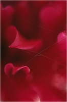 Batisti Moreno " Red (1988)