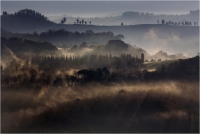 Beconcini Fabio " Nebbia in collina " (2010)