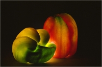 Beconcini Fabio " Peperoni " (1989)