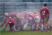 Bientinesi Andrea "Rugby nella nebbia" (2018)