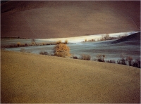 Calloni Carlo "Attimi di Toscana 40" (2001)