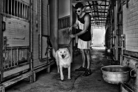 Valtere-Cassuola-Soffio-di-vento-04-2022-
