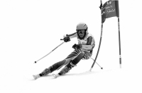 Cerrai Roberto "Slalom gigante 9" (2016)