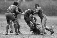 Cerrai Roberto "Rugby 5 " (2018)