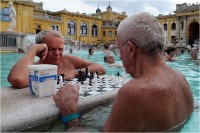 Cerrai Roberto "Terme di Szechenyi 1" (2018)