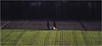Citi Ugo "Paesaggio toscano 03" (1985)