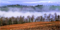 Delli Carlo "Crete senesi" (2004)