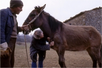 Gambicorti Mauro "Passato e presente n° 2" (1993)