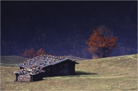 Gambicorti Mauro "Alpe di Susi" (1987)