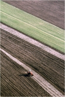 Gambicorti Mauro "Il trattore" (1980)