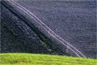 Gambicorti Mauro "Paesaggio" (1981)