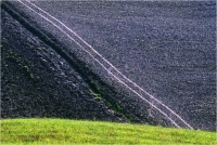 Gambicorti Mauro "Paesaggio" (1981)