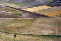 Gambicorti Mauro "Paesaggio 2"76" (1976)