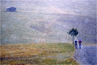 Gambicorti Mauro "Trekking" (1987)