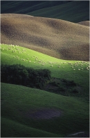 Garuti Fabio "Paesaggio toscano 3" (1994)