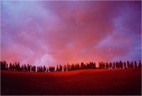 Garuti Fabio "Paesaggio toscano n° 2" (2000)