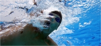 Giuntoli Andrea "Nuoto 10" (2011)