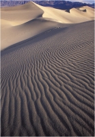 Goiorani Alberto "Desert forms" (1999)