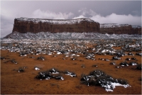 Goiorani Alberto "Frosty desert" (2000)