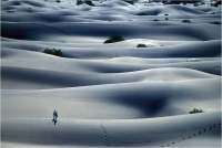 Goiorani Alberto "Infinity desert" (2001)