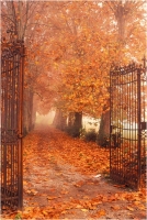 Goiorani Alberto "Sogno d'autunno" (1998)