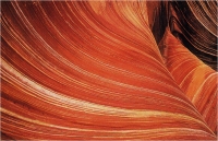 Goiorani Alberto "The wave" (1999)