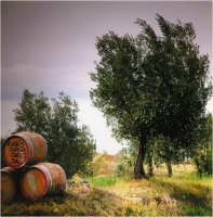 Marchetti Massimo "Val d'Orcia n° 2" (2005)