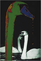 Menichetti Oreste "Adler 4" (1976)