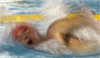 Sbrana Piero "Nuoto 16-11" (2016)