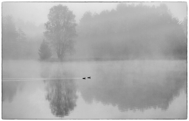 Marcela Lomi "Lago Chlum"
