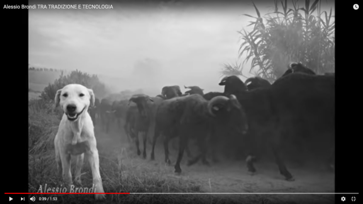 Alessio Brondi – Tra tredizione e tecnologia Alessio Brondi - Tra tredizione e tecnologia