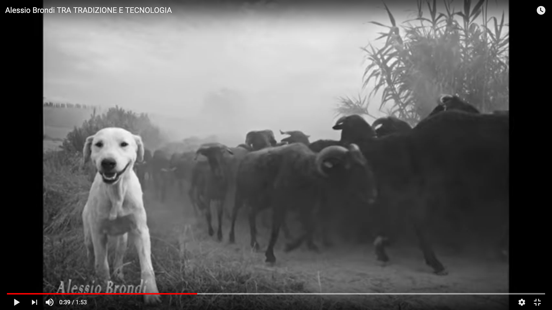 Alessio Brondi - Tra tredizione e tecnologia