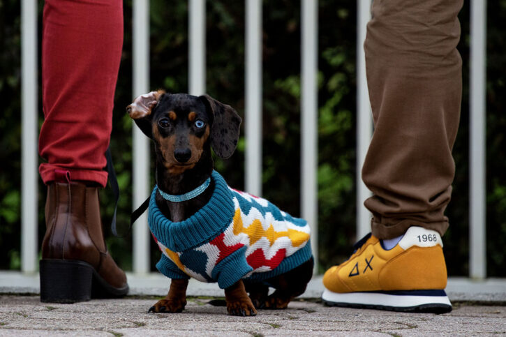 Boni Mauro – Azzurro, giallo, rosso e marrone Boni Mauro - Azzurro, giallo, rosso e marrone