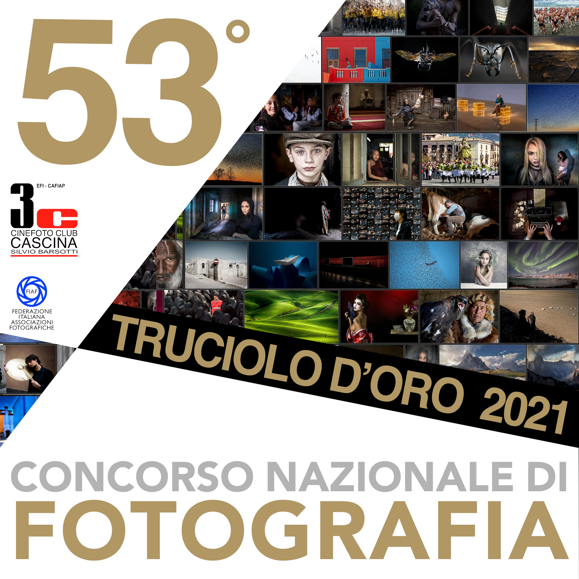 53° Truciolo d’Oro
