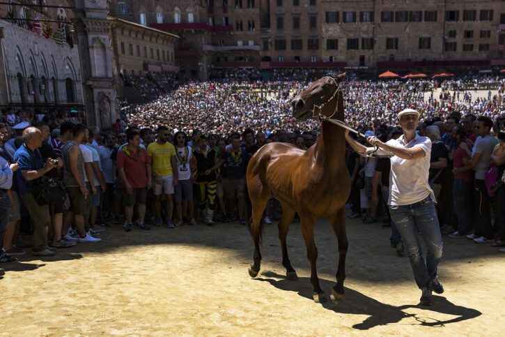 Filomena Roberto – Assegnazione Filomena Roberto - Assegnazione