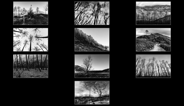 Garuti Fabio-023592-L’urlo del Monte Pisano-2021-Portfolio 00