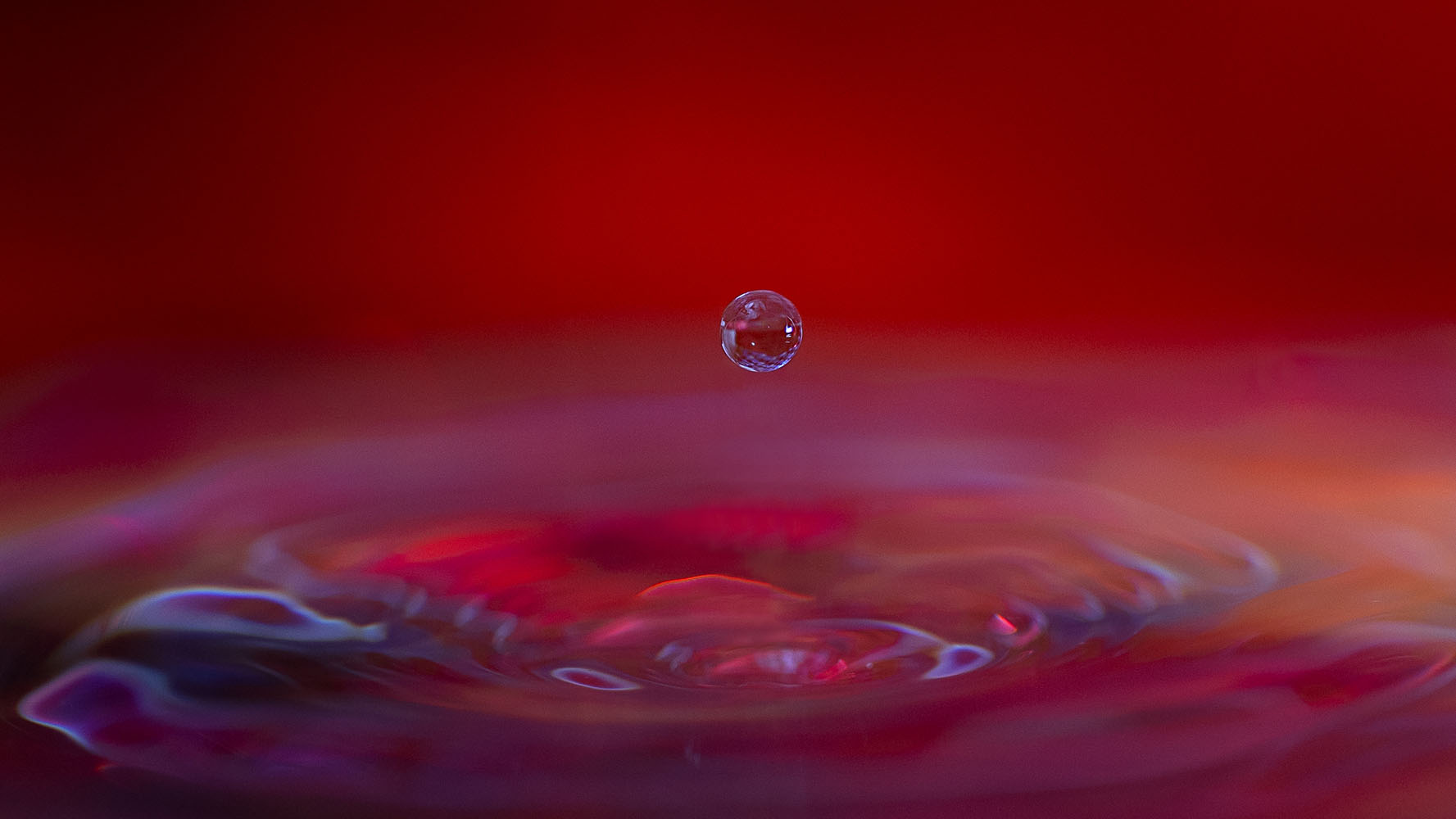 Roberta Silvestro – La solita goccia (2022) Roberta Silvestro - La solita goccia (2022)