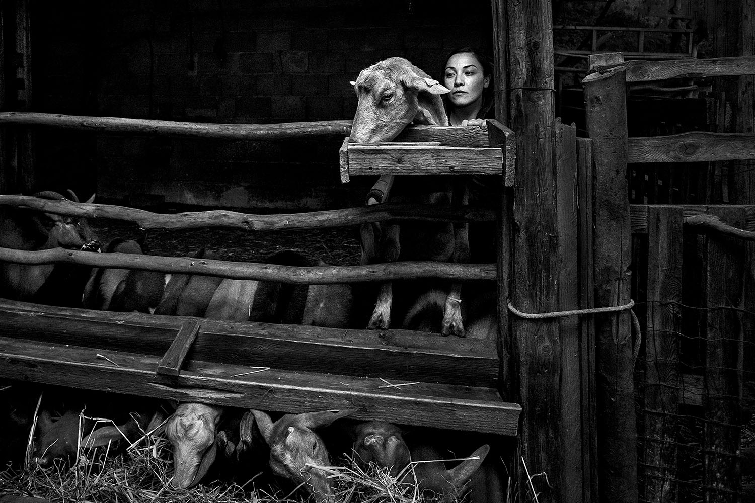 Stefy e Biba - Mauro Boni