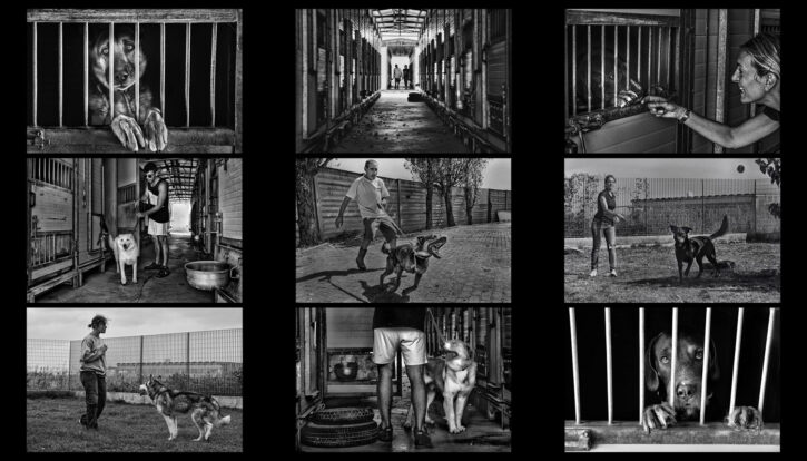 Valtere Cassuola – Soffio di vento (2022) Valtere Cassuola - Soffio di vento (2022)